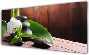 Panel Kuchenny Kwiat Storczyka W Klimacie Spa