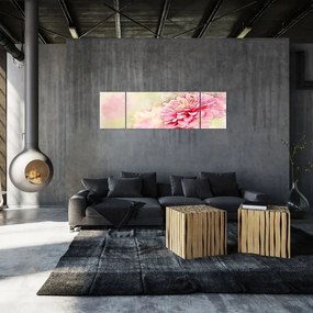 Obraz - Różowy kwiat, akwarela (170x50 cm)
