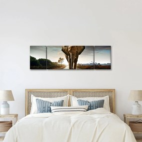 Obraz słonia (170x50 cm)