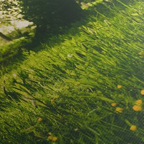 Obraz natury - łąka (70x50 cm)