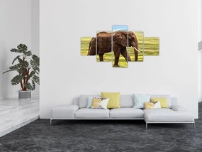Obraz słonia (125x70 cm)