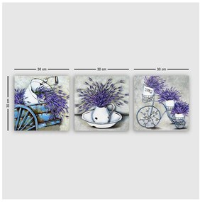 Obrazy zestaw 3 szt. 30x30 cm Lavender – Wallity