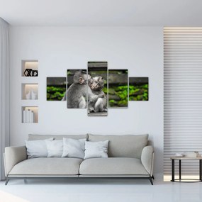 Obraz - małpki (125x70 cm)