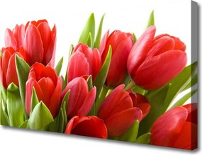 Obraz na płótnie Wiosenna Świeżość Tulipanów