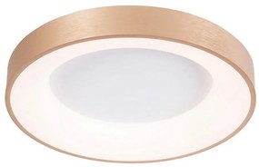 Azzardo AZ4988 - LED Plafon SANTANA LED/30W/230V złoty