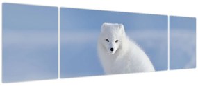 Obraz - Lis polarny (170x50 cm)