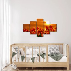 Obraz kwitnącego pola z tulipanami (125x70 cm)