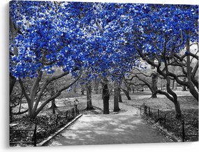 Obraz - Niebieskie drzewa, Central Park, New York (70x50 cm)