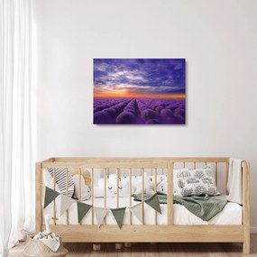 Obraz na szkle lawendowego pola (70x50 cm)