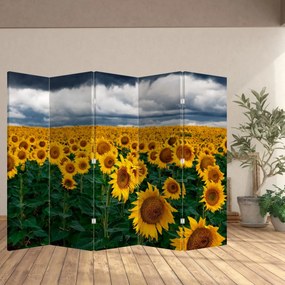 Parawan - Pole słoneczników (210x170 cm)