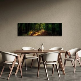 Obraz leśnej ścieżki (170x50 cm)