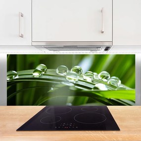 Panel Szklany do Kuchni Krople Rosy na Źdźbłach