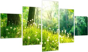 Obraz - Magiczna łąka pełna mniszków lekarskich (125x70 cm)