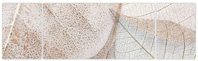 Obraz - Beżowe liście (170x50 cm)
