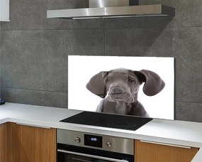 Panel szklany do Kuchni Portret Brązowego Psa