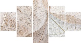 Obraz - Beżowe liście (125x70 cm)