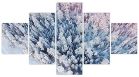 Obraz ośnieżonych drzew (125x70 cm)