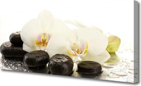 Obraz canvas Równowaga: Kwiat i Gładki Kamień