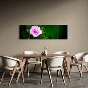 Obraz kwiatu róży (170x50 cm)