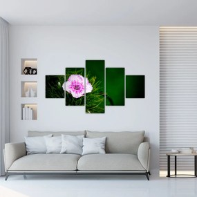 Obraz kwiatu róży (125x70 cm)