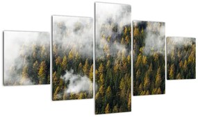 Obraz lasu w chmurach (125x70 cm)