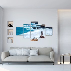 Obraz - głuptak niebieskonogi (125x70 cm)