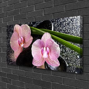 Obraz Canvas Kwiaty Orchidea Storczyk Zen