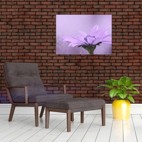 Obraz - Fioletowy kwiat (70x50 cm)