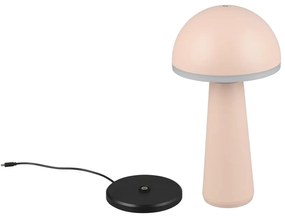 Lampa zewnętrzna ze ściemniaczem ø 16 cm Fungo – Trio