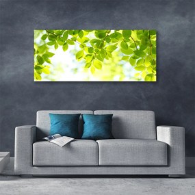 Obraz na płótnie Świeże Zielone Liście