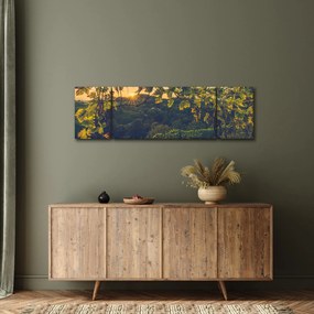 Obraz - Winnica (170x50 cm)