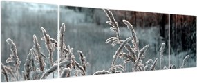 Obraz - Frozen Meadow (170x50 cm)
