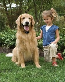 PetSafe® Elektryczna ogrodzenie dla psów Basic