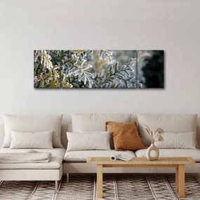 Obraz - Detal gałęzi (170x50 cm)