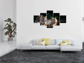 Obraz - Tygrysi Bracia (125x70 cm)