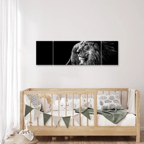Obraz - Lew, czarno-biały (170x50 cm)