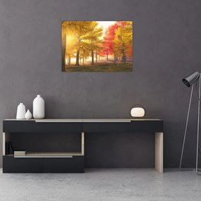 Obraz jesiennych drzew (70x50 cm)