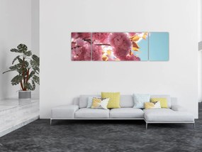 Obraz - Kwiat wiśni (170x50 cm)