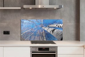 Szklany Panel Brzozowe Korony i Błękit Nieba