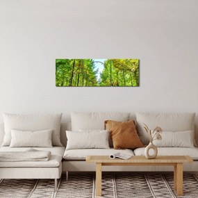 Obraz - Widok na las (z zegarem) (90x30 cm)