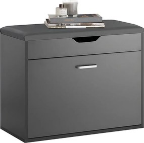 Ławka na buty z siedziskiem i pojemnik Szary FSR95-HG