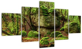 Obraz magicznego lasu (125x70 cm)