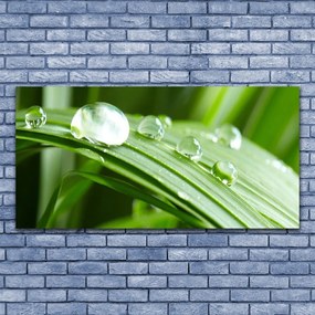 Obraz na płótnie Kropla Rosy w Makrofotografii