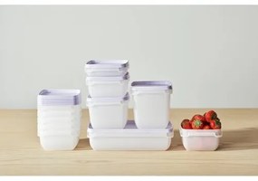 SmartStore Zestaw pojemników plastikowych Freezer 5 szt., lawenda, 500 ml, 500 ml