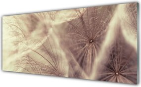 Szkło do Kuchni na Ścianę Złocisty Mniszek w Polu