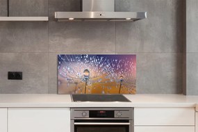 Panel nad Blat Kuchenny Kryształowe Parasolki Dmuchawca