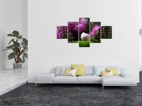 Obraz - Muszla ślimaka (125x70 cm)