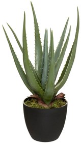 Sztuczny aloes REAL TOUCH, wys. 44 cm