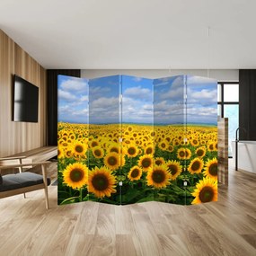 Parawan - Pole słoneczników (210x170 cm)