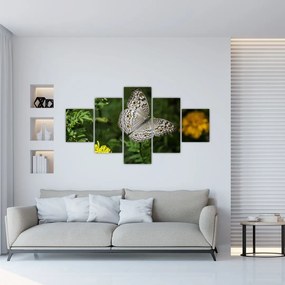 Obraz - biały motyl (125x70 cm)